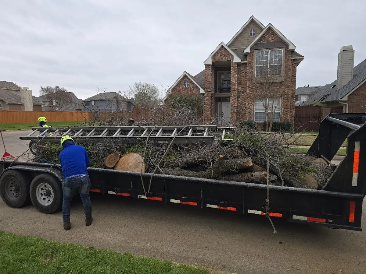 Expert Tree Fertilization with proper safety equipment in Paul